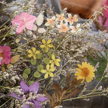 20 опаковки САМ Растения Цветя Стикер за Декорация Стикери Scrapbooking Канцеларски Дневник