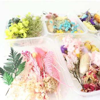 1 Кутия Цветни Истински Цветя Завод За Ароматерапия Свещ Епоксидна Смола Висулка Колие Производство на Бижута Занаят САМ Аксесоари