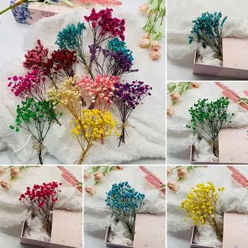 Мини Декоративни Натурални Свежи, Сушени Цветя Babysbreath Букет от Цветя, Естествени Растения Запазват Цветя за Сватбен дом Декор