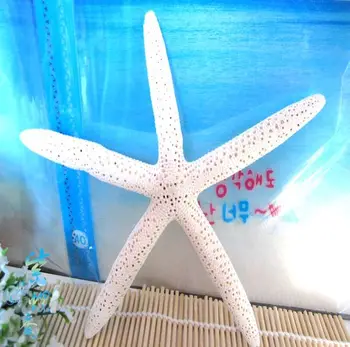 Мивка HappyKiss натурална мивка мивка чорап 18-22 см бял абзац е много голяма натурална морска звезда, морска риба,